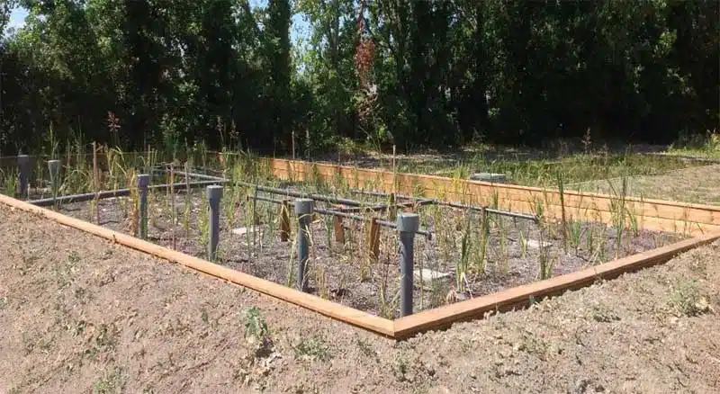 Station d'épuration écologique d'effluents agricole