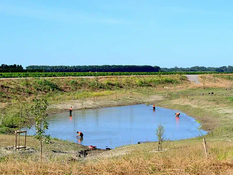 Compensation écologique - Création de zones humides