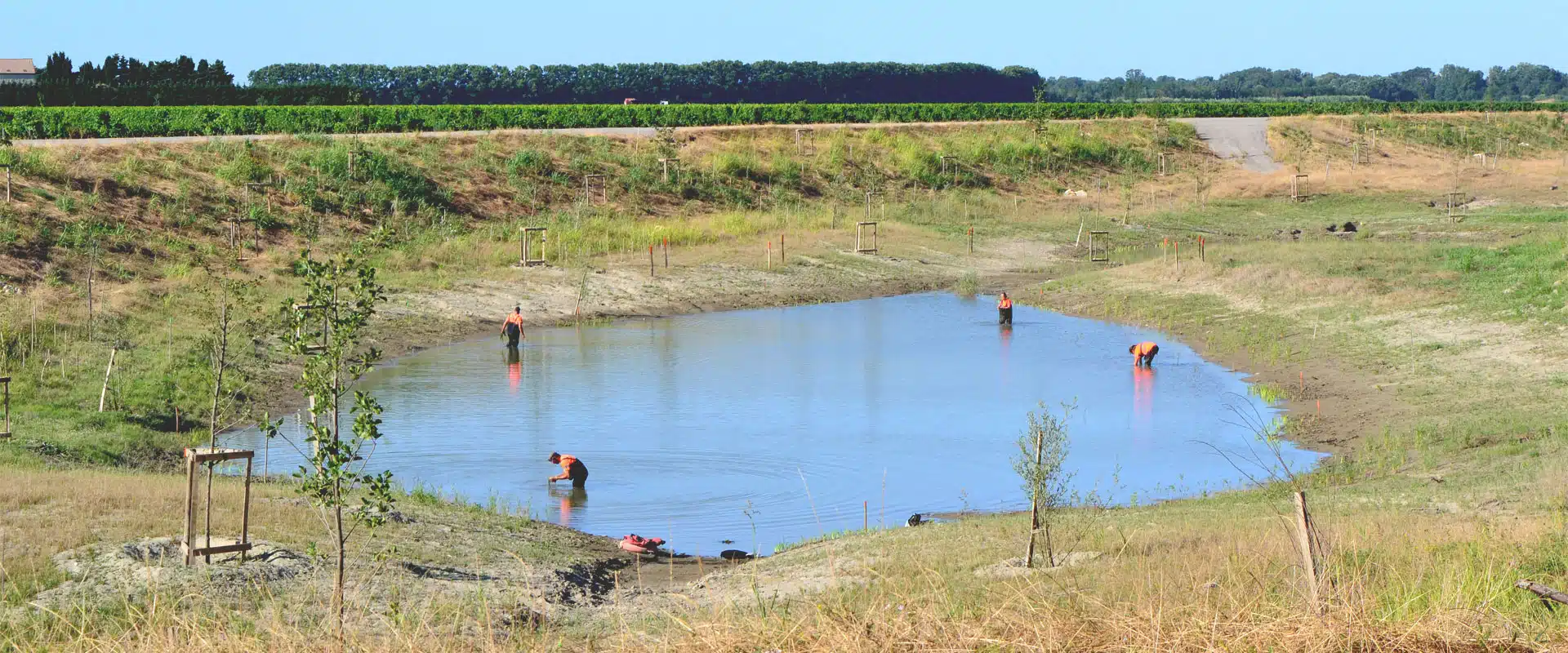 La compensation écologique c'est quoi ?