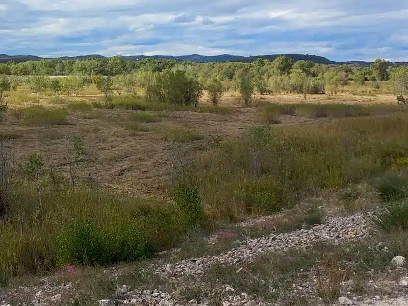 Mesure compensatoire - Réhabilitation d’une prairie