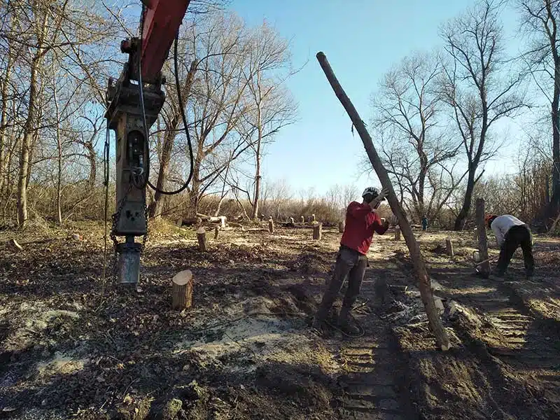 Compensation écologique - Restauration d'une ripisylve