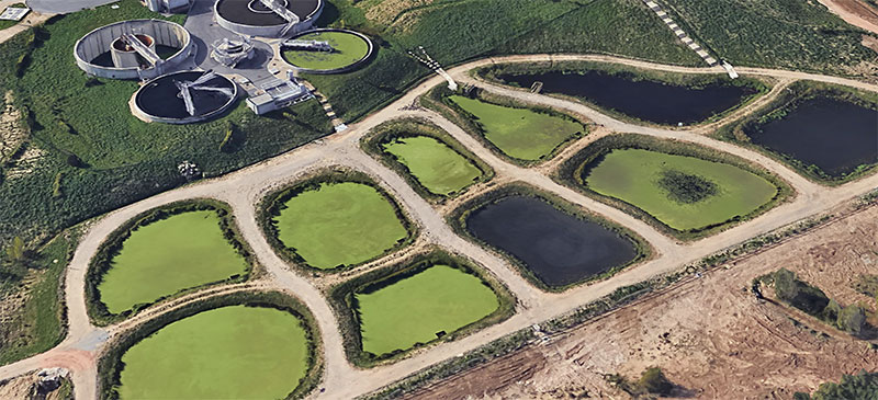 Préservation de la ressource en eau – Réhabilitation d’une zone de rejet végétalisée – Aix-en-Provence (Bouches-du-Rhône, 13)