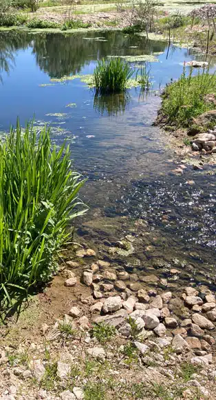 Diversifier les habitats écologique sur une zone humide