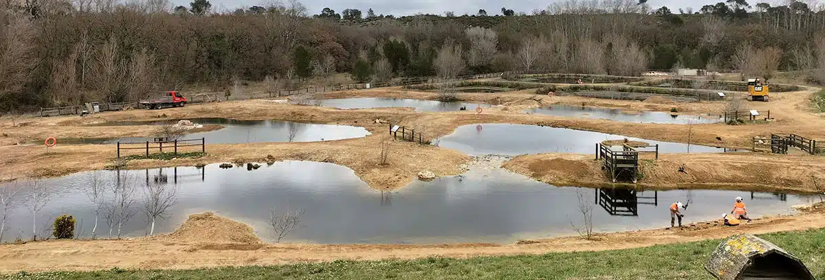 Restauration d'une zone de rejet végétalisée - Connexion des bassins