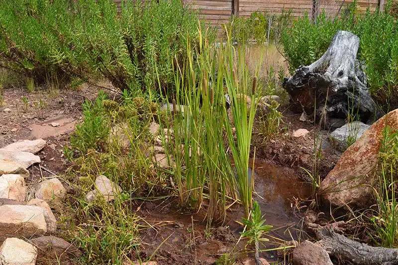 Récupérer stocker et réutiliser les eaux de pluie