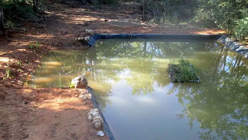 Bassin abreuvoir pour la faune