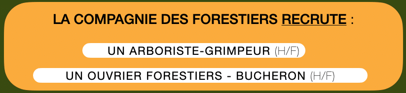 Emploi ouvrier-forestier