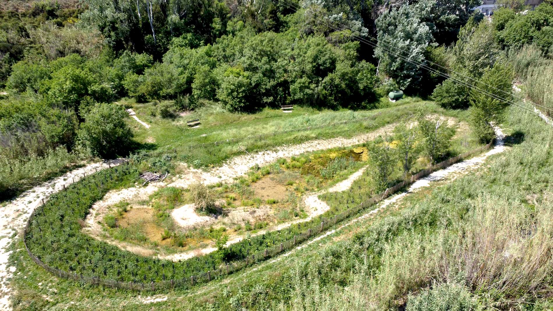 Création d'une zone humide - Mesure de compensation