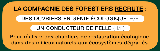 Ouvriers en génie écologique - La Compagnie des Forestiers