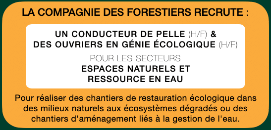 Ouvriers en génie écologique - La Compagnie des Forestiers
